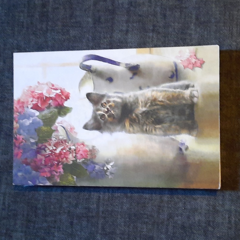 Cat Journal Hardcover Lined Paper Yester Board Book Cover Journals USA NWT As Is